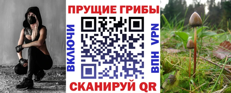 Галлюциногенные грибы мухоморы  гидра вход  Фатеж 